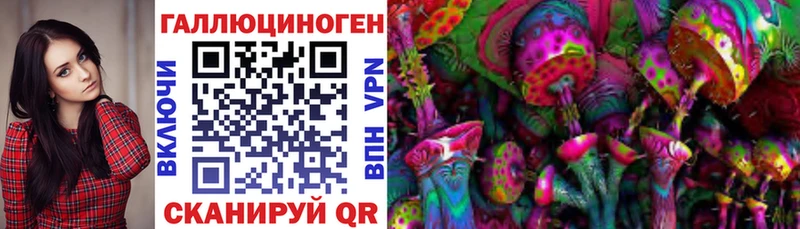 hydra ССЫЛКА  магазин продажи наркотиков  Ельня  Псилоцибиновые грибы GOLDEN TEACHER 